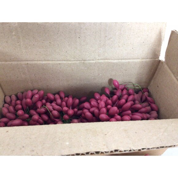 Red Berries Artificial Fake Fruits Christmas Craft Holly Berry Decor Lot - Picture 7 of 8